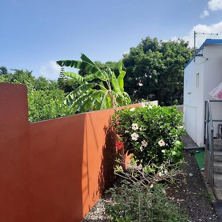فيلا La Casa Binecha Avec Jacuzzi Baillif المظهر الخارجي الصورة