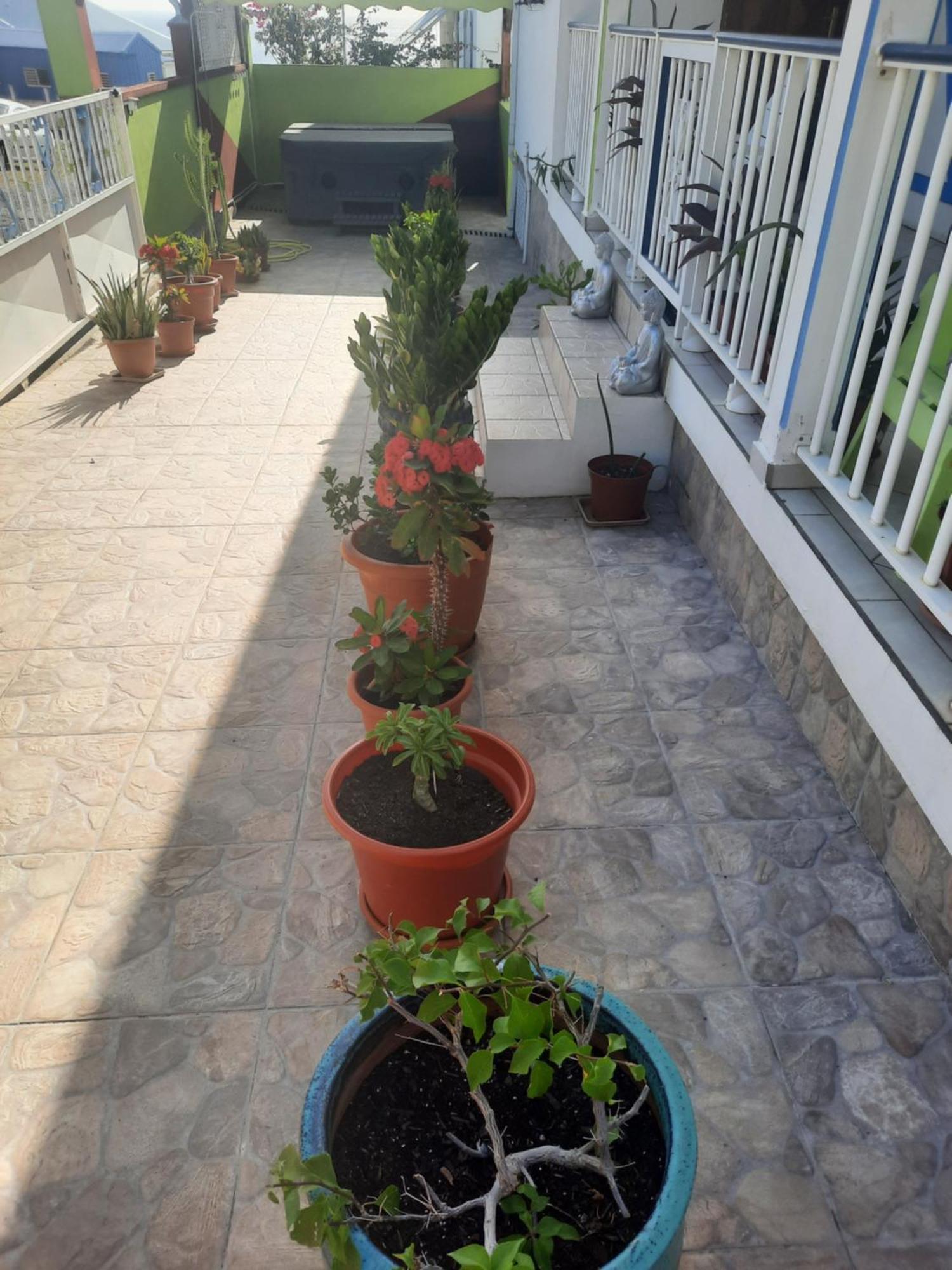 فيلا La Casa Binecha Avec Jacuzzi Baillif المظهر الخارجي الصورة